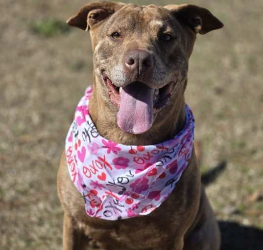 Photo of Judy / Ruby