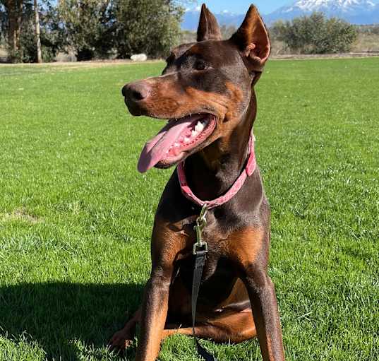Photo of Lucy