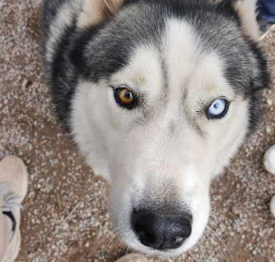 Photo of Timber