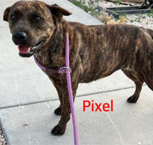 Photo of pixel