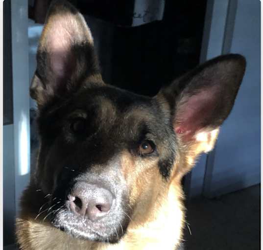 Photo of Caly