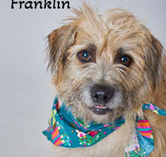 Photo of Franklin