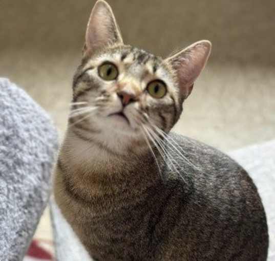 Photo of Mistie