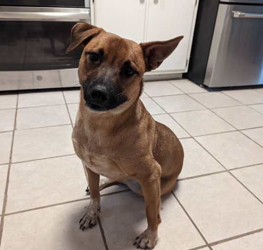 Photo of Ruby