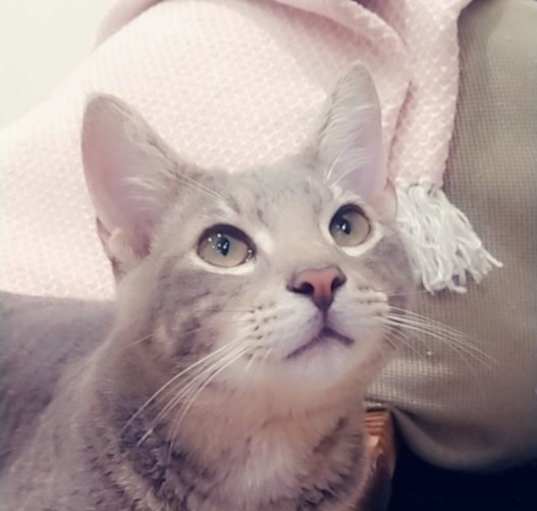 Photo of Oso