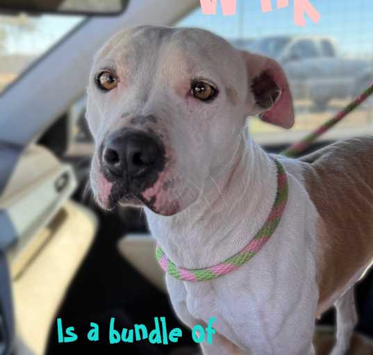 Photo of Winki