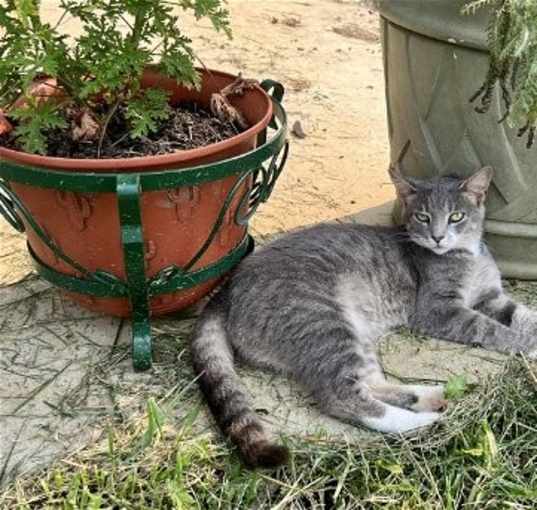 Photo of Lola
