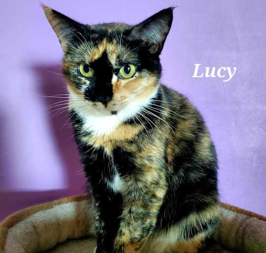 Photo of Lucy