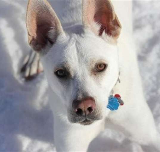 Photo of Fallon D5629