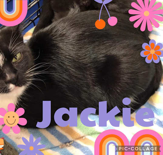 Photo of Jackie