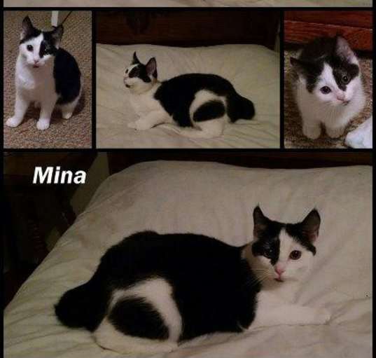 Photo of Mina