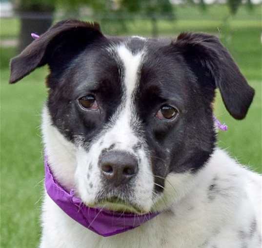 Photo of Ella