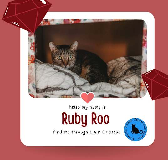 Photo of Ruby Roo