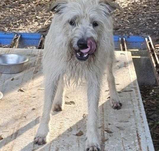Photo of Arturo