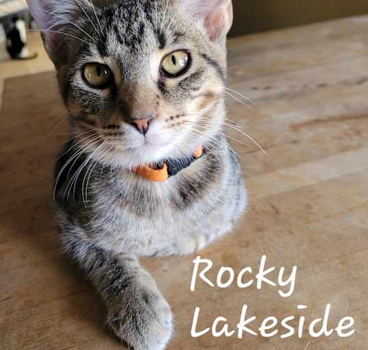 Photo of Rocky Lakeside