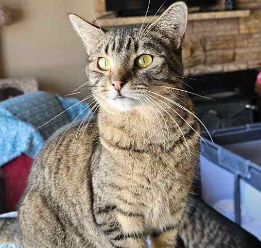 Photo of Bobby