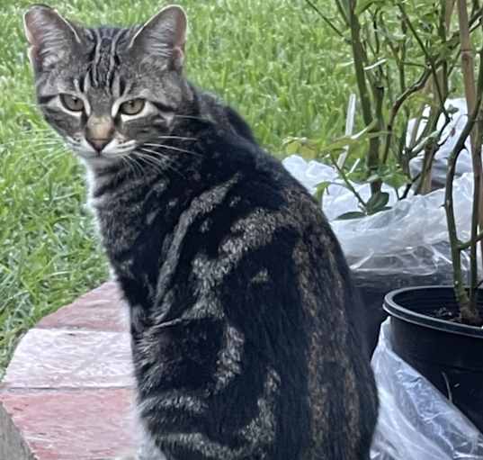 Photo of Flynn