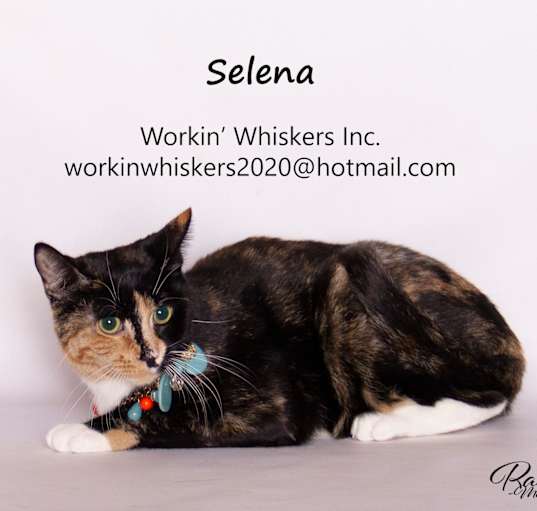 Photo of SELENA