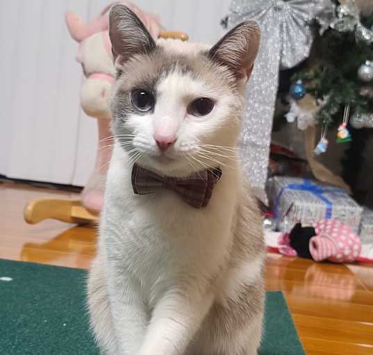 Photo of Minky