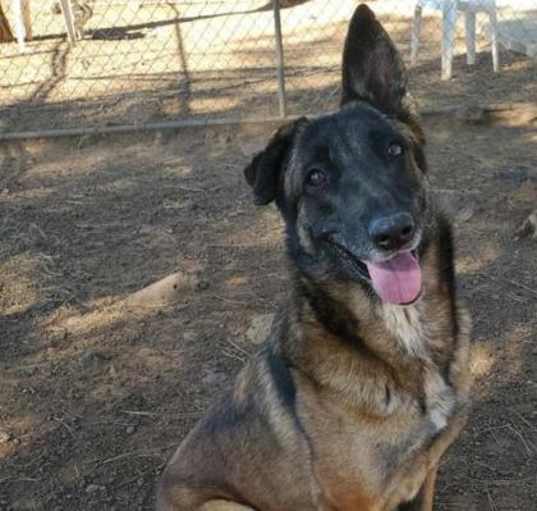 Photo of Kendra