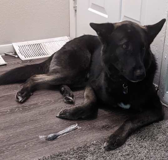 Photo of Grimm