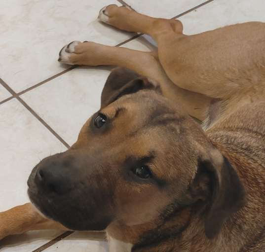 Photo of Luther