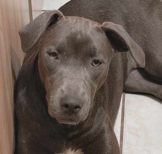 Photo of Bettsie