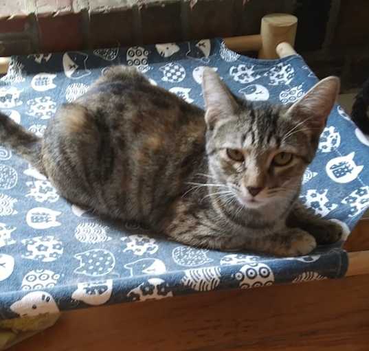 Photo of Elsa