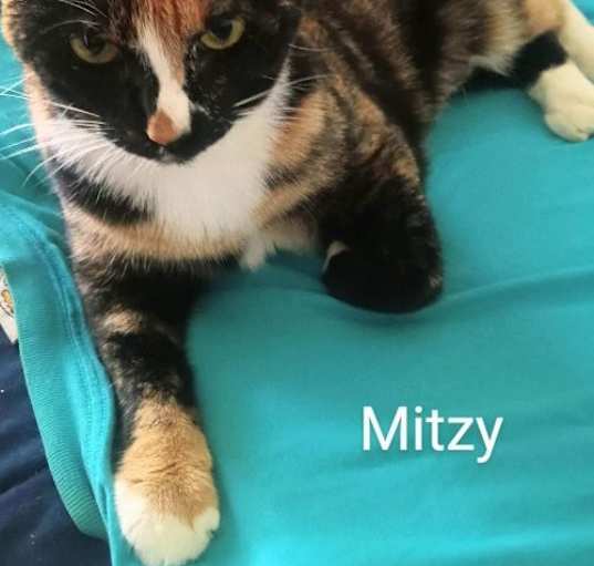 Photo of Mitzi