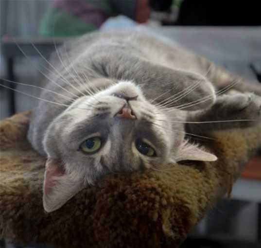 Photo of Milena