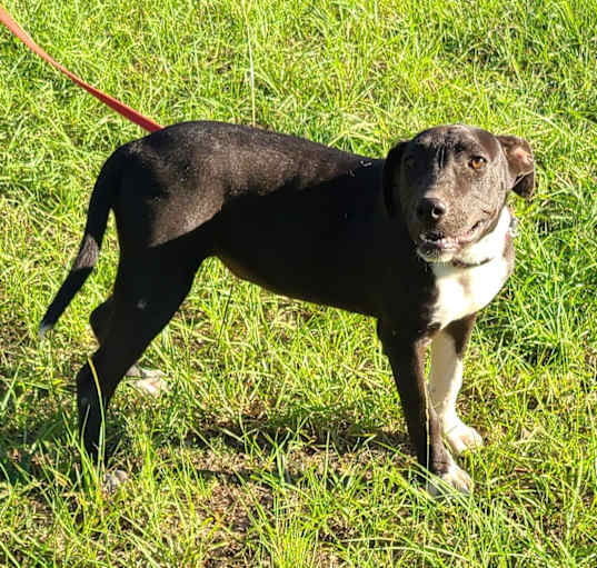Photo of Oakley
