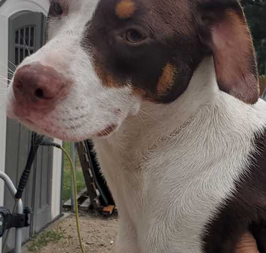 Photo of Arlo