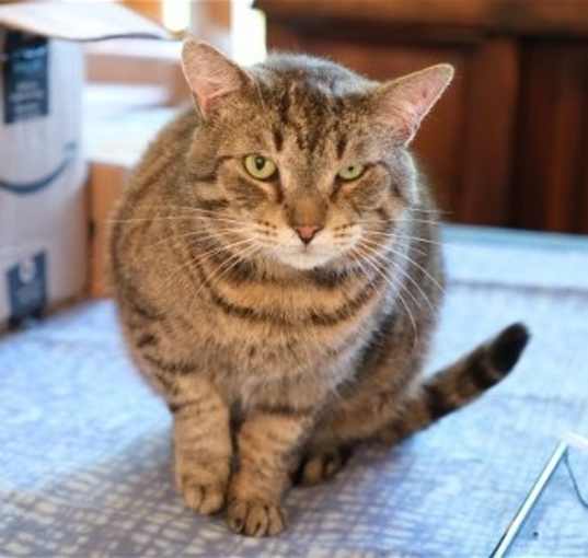 Photo of Rupert