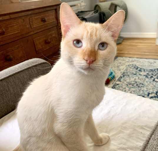 Photo of Wilbur