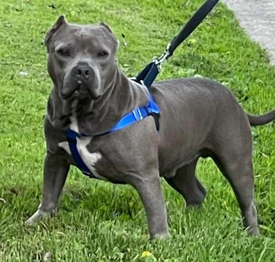 Photo of Vinnie