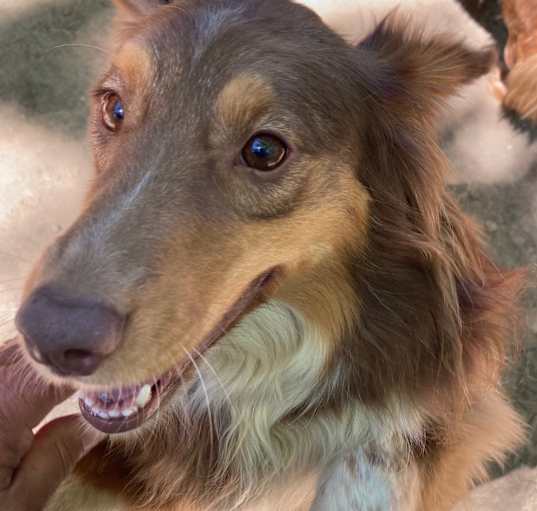 Photo of Murphy