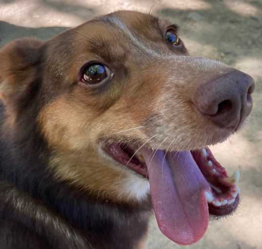 Photo of Mack