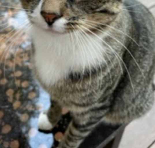 Photo of BOOTS