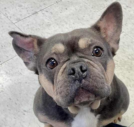 Photo of Mary Lou (Special Needs)