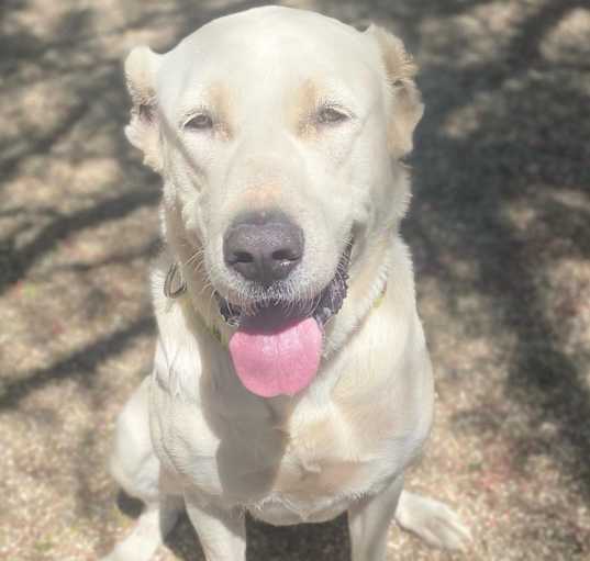 Photo of Bonny