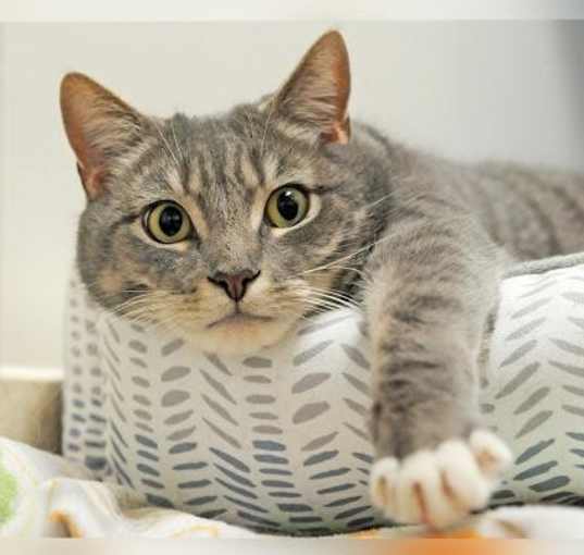 Photo of Oliver