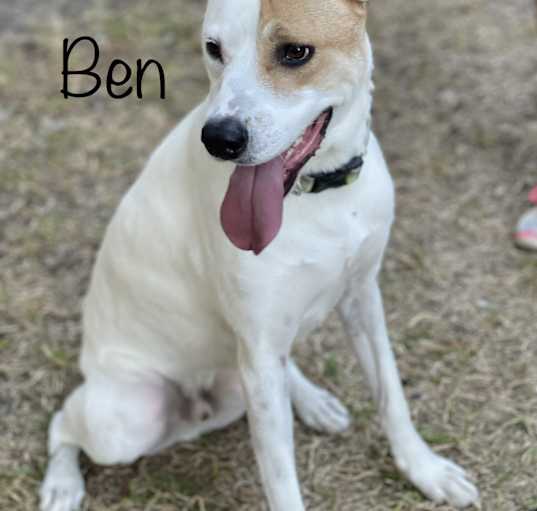 Photo of Ben