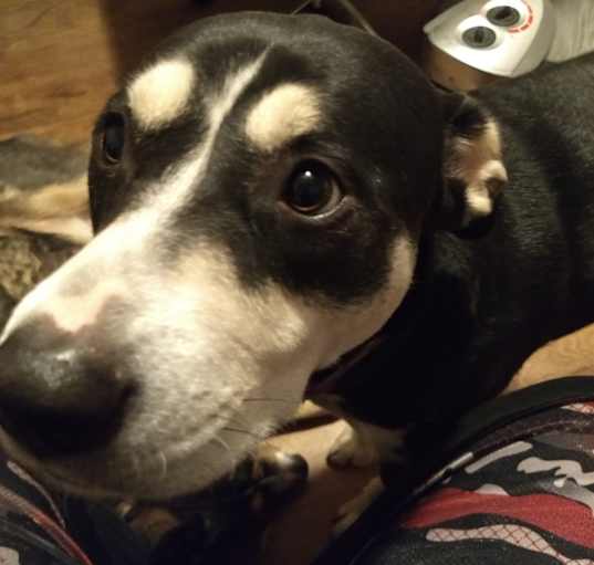 Photo of Coco