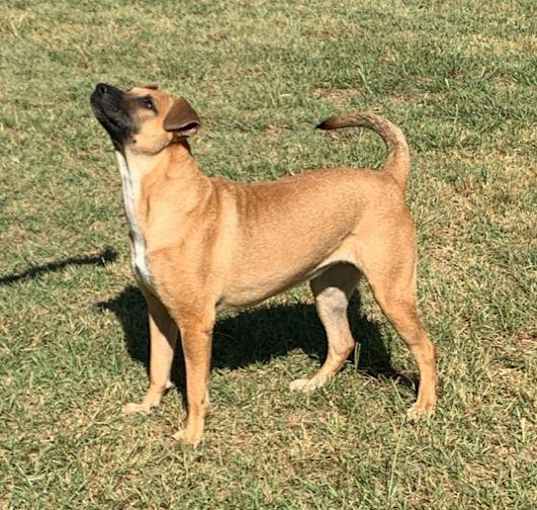 Photo of DAISY