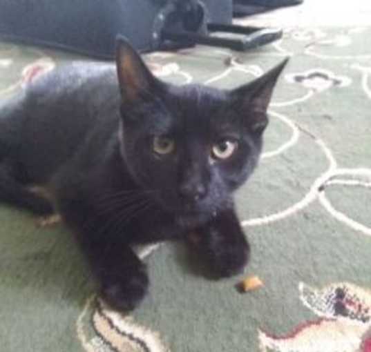 Photo of Theodore
