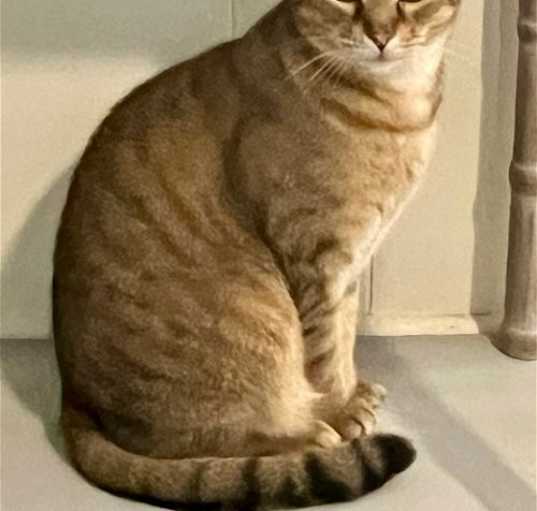 Photo of Charlotte