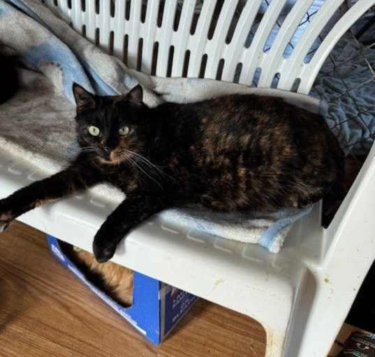 Photo of Riley