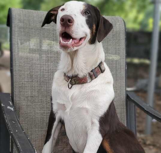 Photo of BeeBop