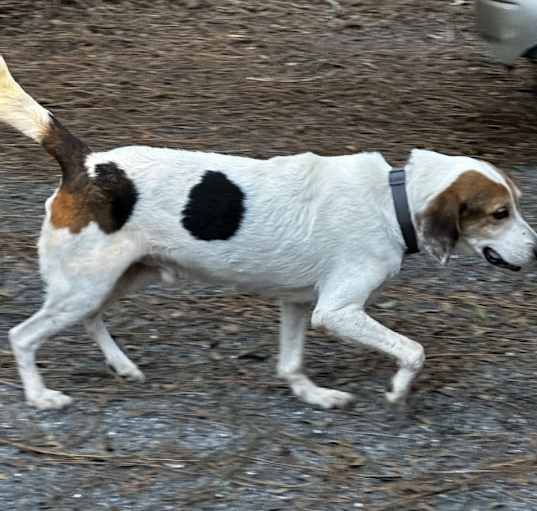 Photo of Mr Peabody