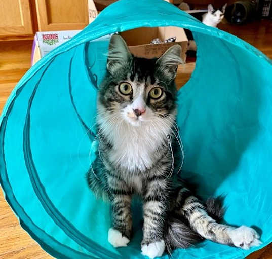 Photo of Percy